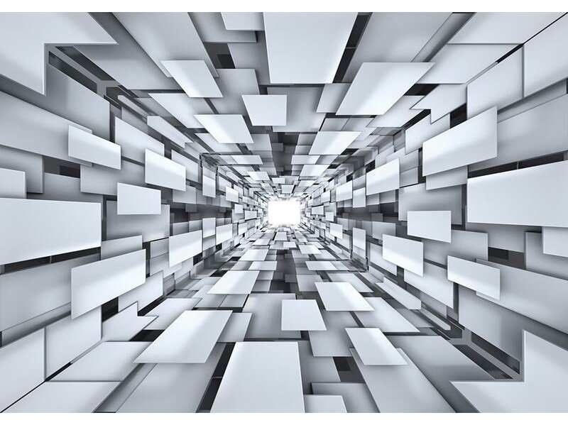 FOR WALL fototapetai 2906VE XXL