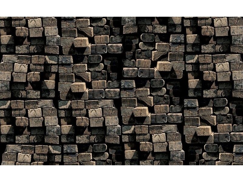 FOR WALL fototapetai 2913VE XXL