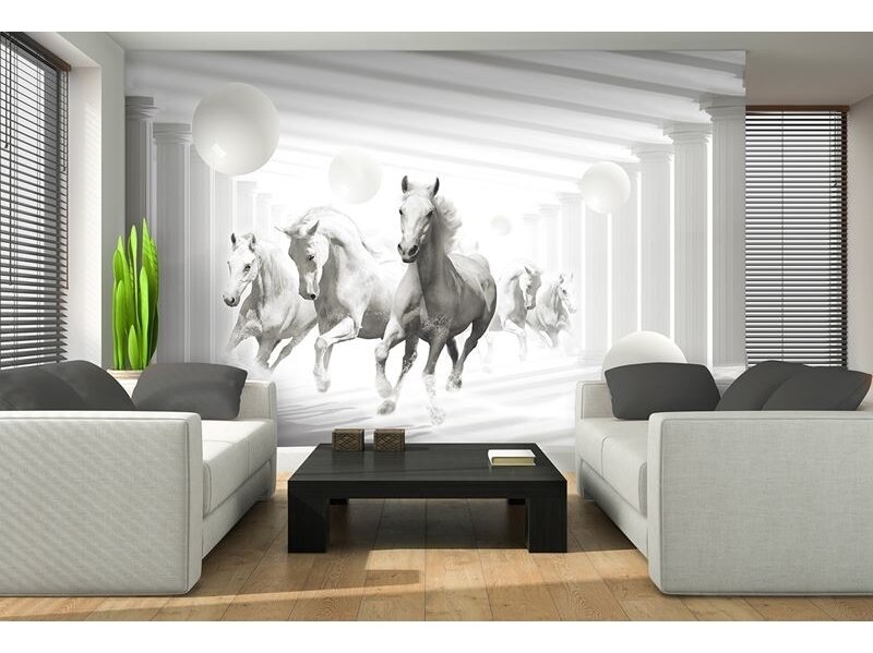 FOR WALL fototapetai 3087VE XXL 1