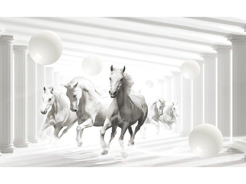 FOR WALL fototapetai 3087VE XXXL FOR WALL fototapetai 3087VE XXXL