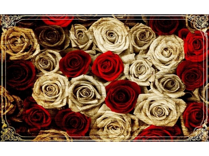 FOR WALL fototapetai 3101VE XXXL