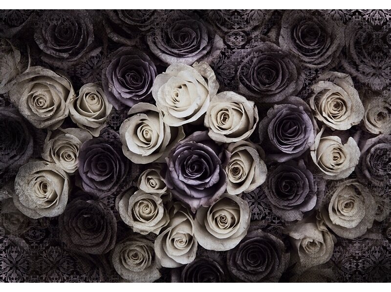 FOR WALL fototapetai 3122VE XXXL