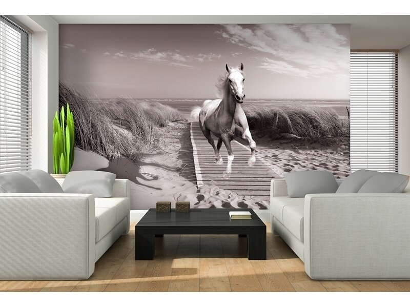 FOR WALL fototapetai 3136VE XXXL 1