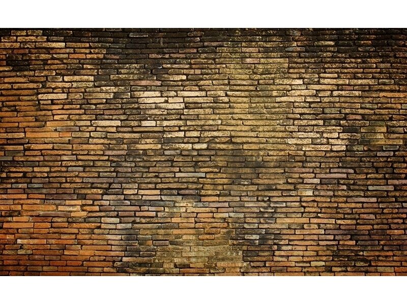 FOR WALL fototapetai 3140VE XXXL FOR WALL fototapetai 3140VE XXXL