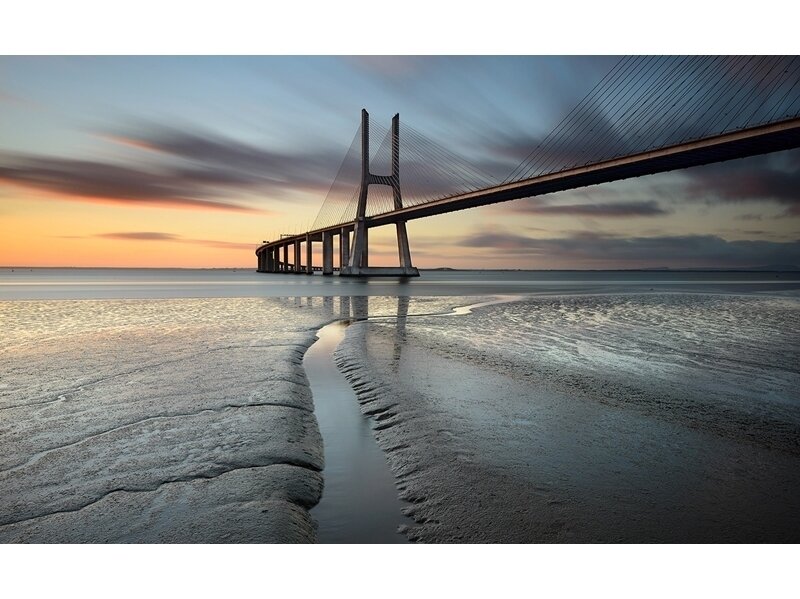 FOR WALL fototapetai 3143VE XXXL