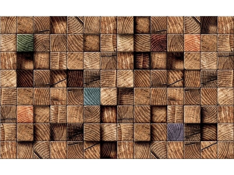 FOR WALL fototapetai 3163VE XXL