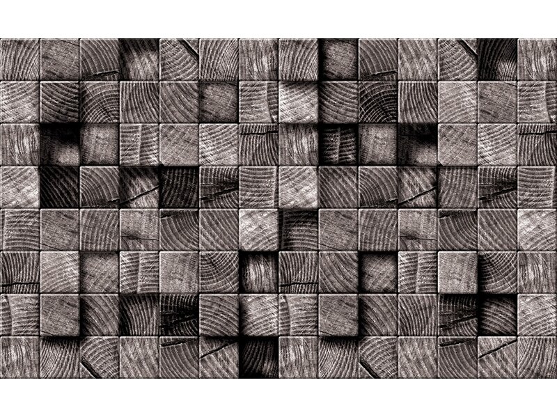 FOR WALL fototapetai 3164VE XXL