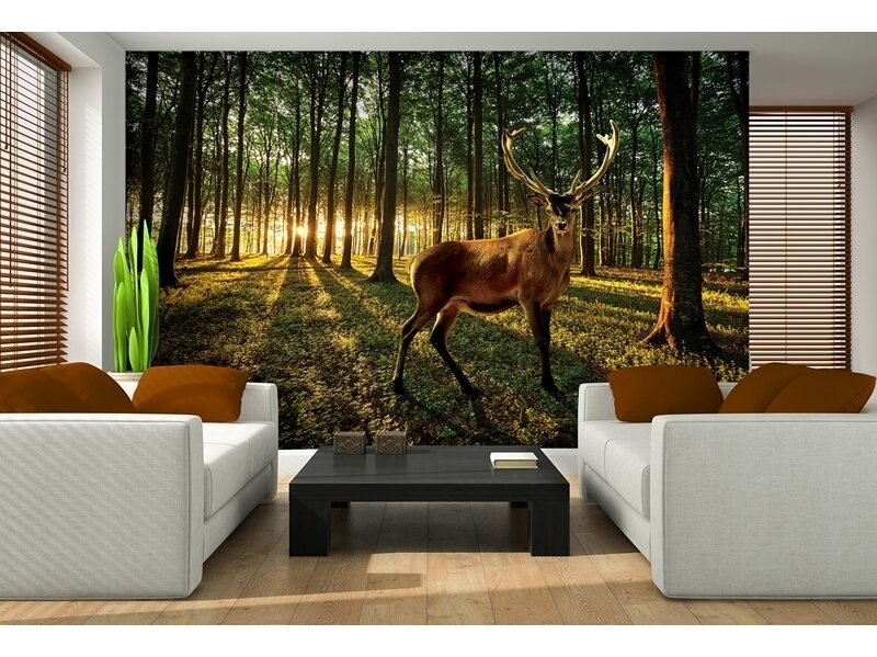 FOR WALL fototapetai 3194VE XXL 1