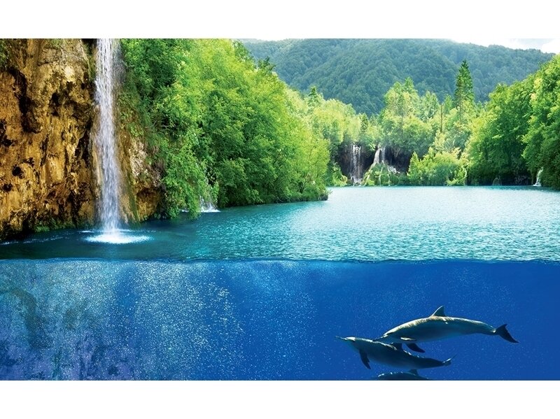 FOR WALL fototapetai 3228VE XXL