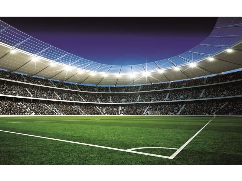 FOR WALL fototapetai 0324VE XXL