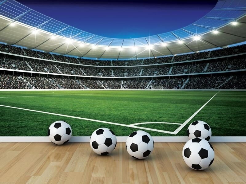 FOR WALL fototapetai 0324VE XXL 1