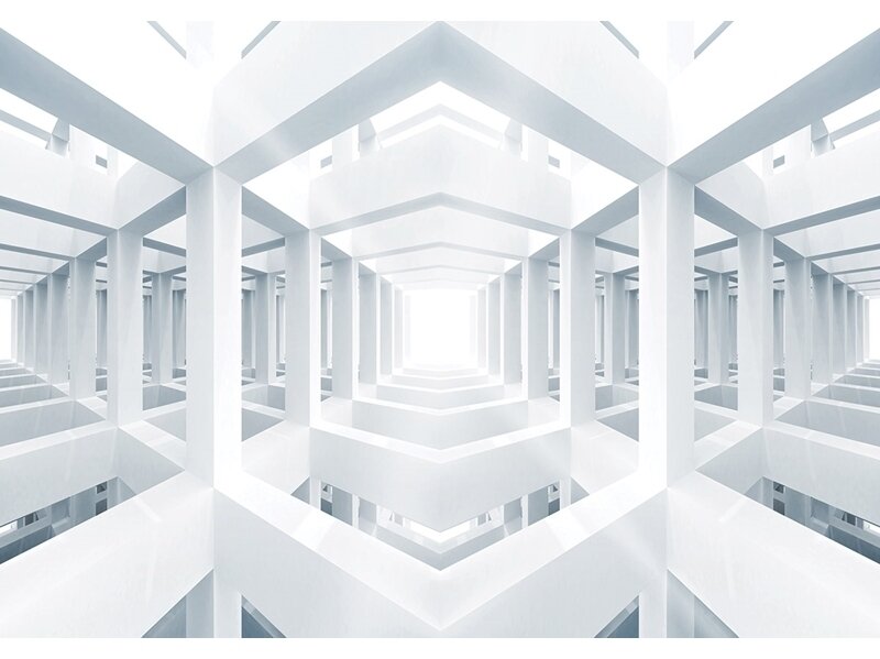 FOR WALL fototapetai 3325VE XXL