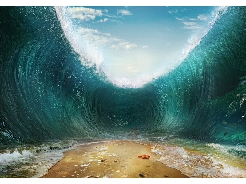 FOR WALL fototapetai 3330VE XXXL