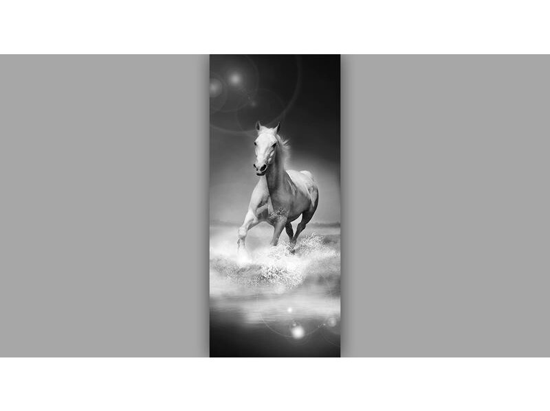 FOR WALL fototapetai 0426VET