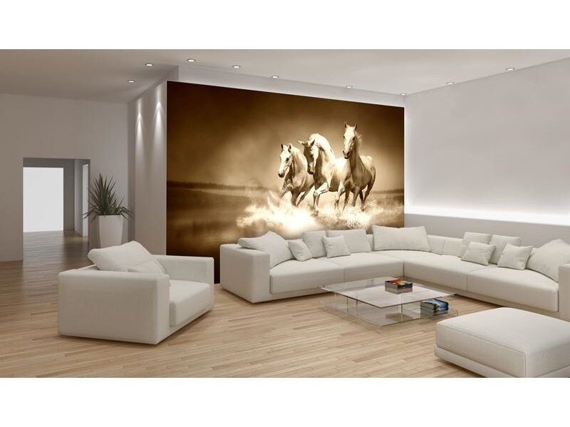 FOR WALL fototapetai 0427VE P8 1