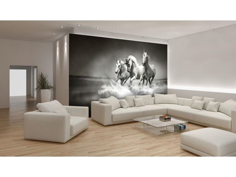 FOR WALL fototapetai 0428VE XXL