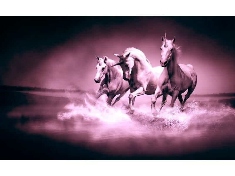 FOR WALL fototapetai 0429VE M FOR WALL fototapetai 0429VE M