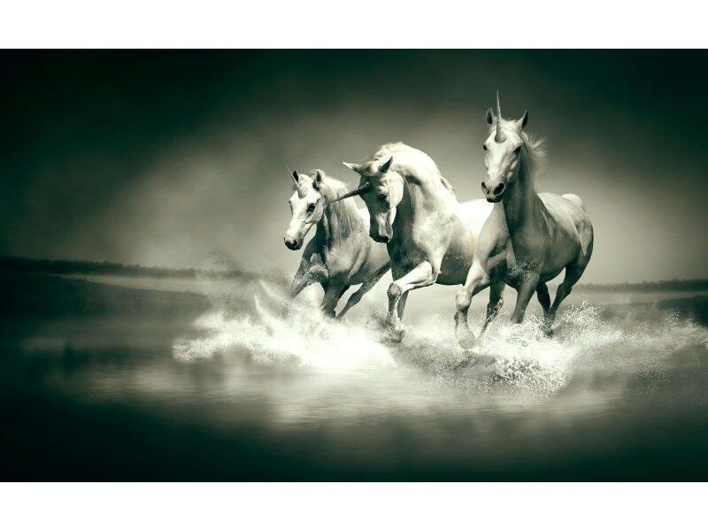 FOR WALL fototapetai 0430VE XXXL