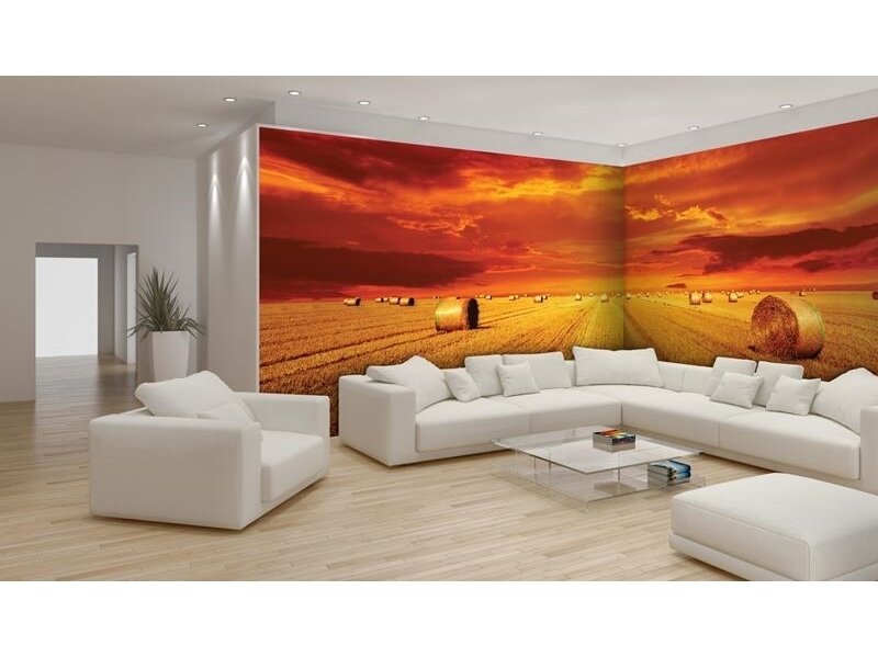 FOR WALL fototapetai 0446VEE 2