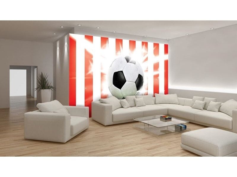 FOR WALL fototapetai 0473VE XXL 1