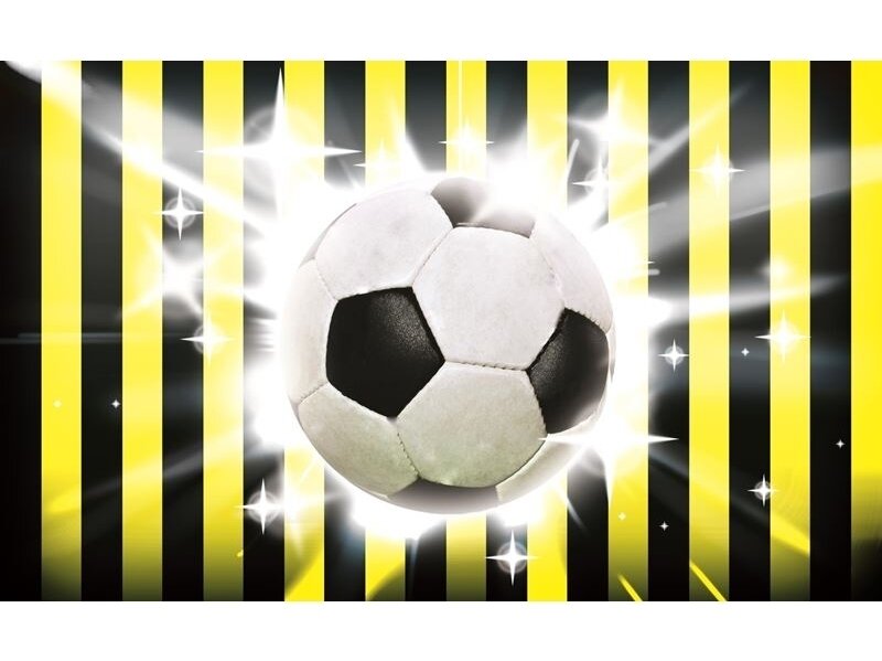 FOR WALL fototapetai 0474VE XXXL