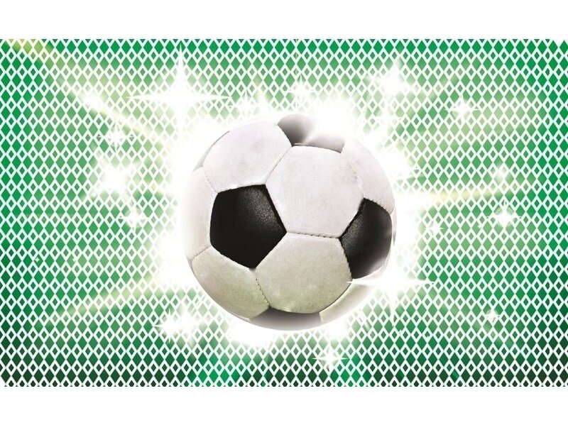 FOR WALL fototapetai 0477VE XXL