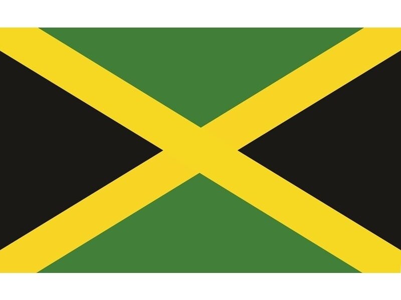 FOR WALL fototapetai 0478VE L FOR WALL fototapetai 0478VE L