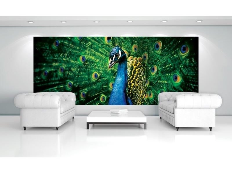 FOR WALL fototapetai 0630VEP 1