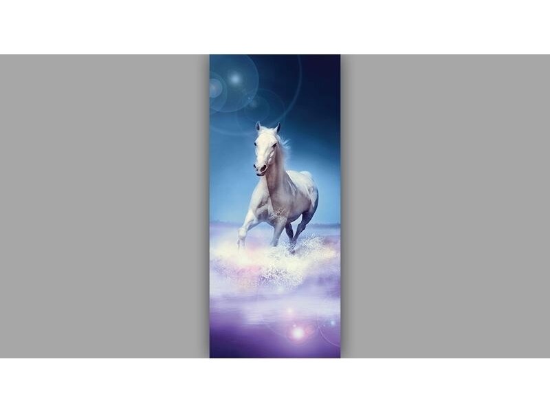 FOR WALL fototapetai 0637VET FOR WALL fototapetai 0637VET