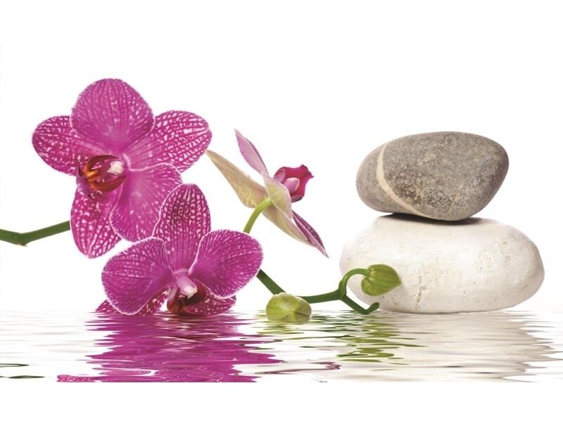 FOR WALL fototapetai 0652VE XXL FOR WALL fototapetai 0652VE XXL