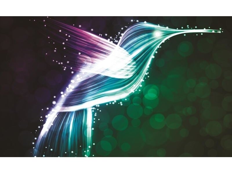 FOR WALL fototapetai 0769VE P8 FOR WALL fototapetai 0769VE P8