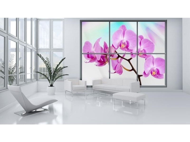 FOR WALL fototapetai 0940VEC 2 FOR WALL fototapetai 0940VEC 2