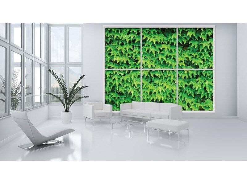 FOR WALL fototapetai 0946VEC 2 FOR WALL fototapetai 0946VEC 2