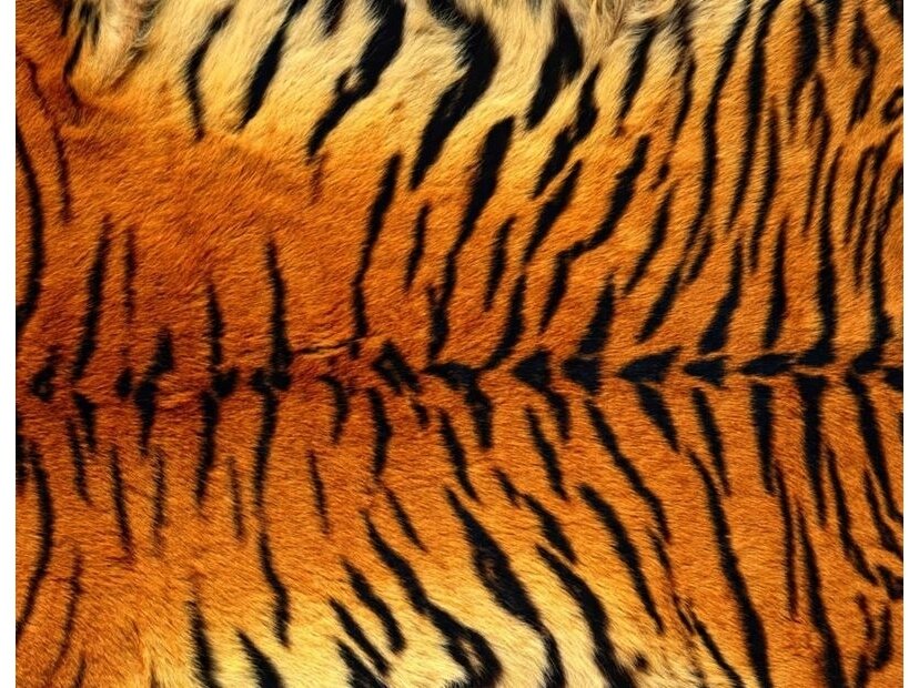 FOR WALL fototapetai 0181VE XXL FOR WALL fototapetai 0181VE XXL