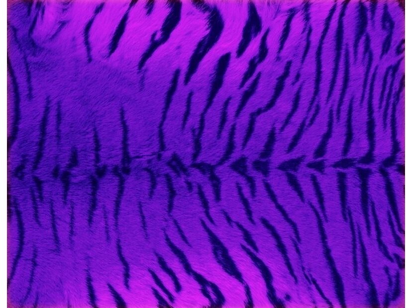 FOR WALL fototapetai 0241VE XXXL