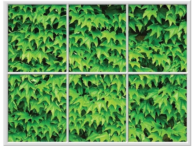 FOR WALL fototapetai 0946VEC