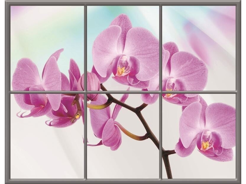 FOR WALL fototapetai 0940VEC FOR WALL fototapetai 0940VEC