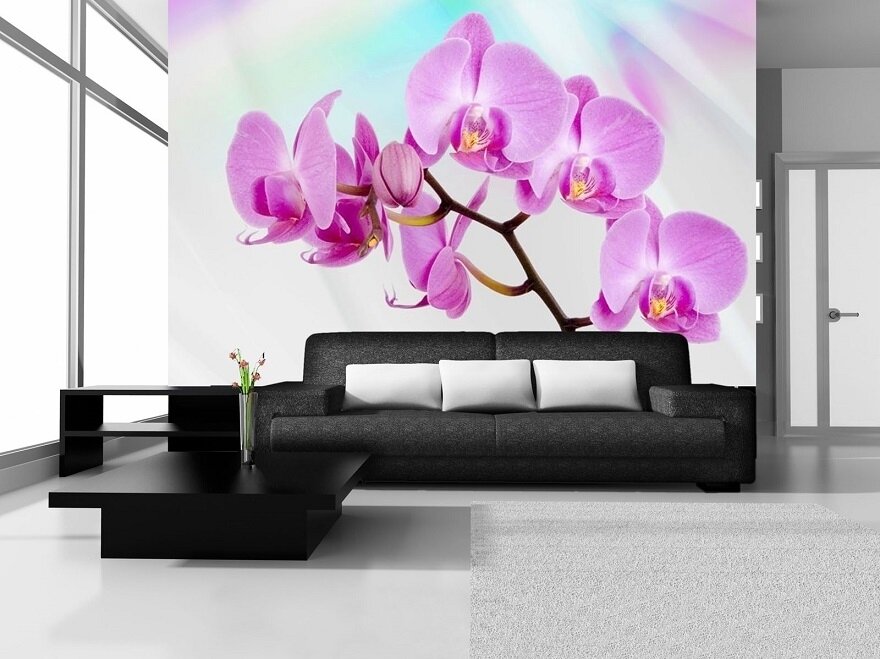 FOR WALL fototapetai 0116VE XXL 1