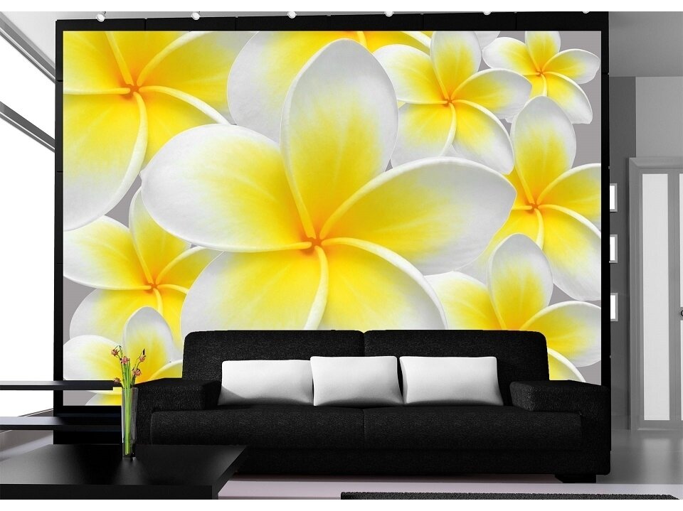 FOR WALL fototapetai 0033VE XXL 1