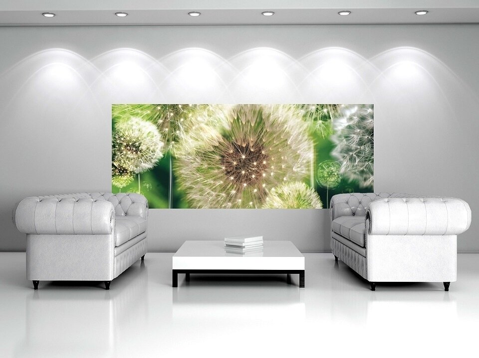 FOR WALL fototapetai 0056VE XXL 2