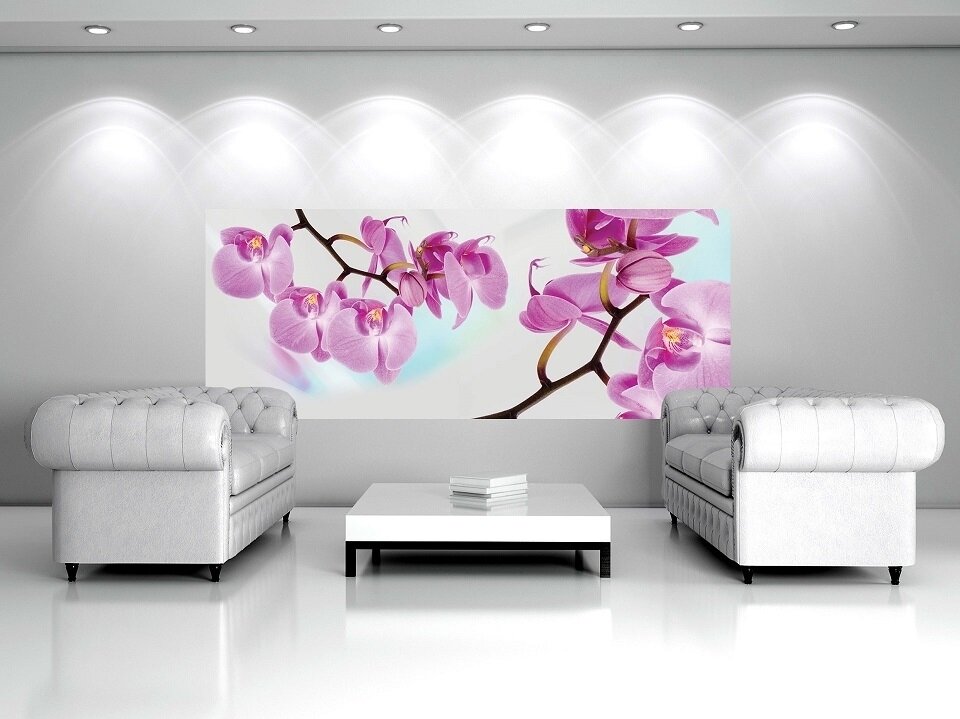 FOR WALL fototapetai 0116VE XXL 2