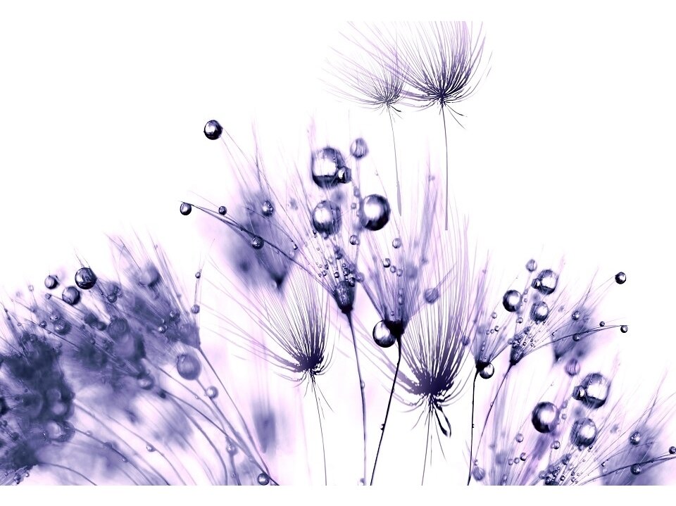 FOR WALL fototapetai 0124VE XXL FOR WALL fototapetai 0124VE XXL