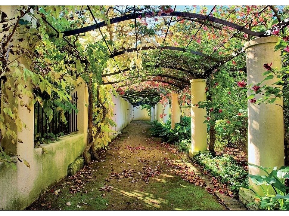 FOR WALL fototapetai 0136VE L