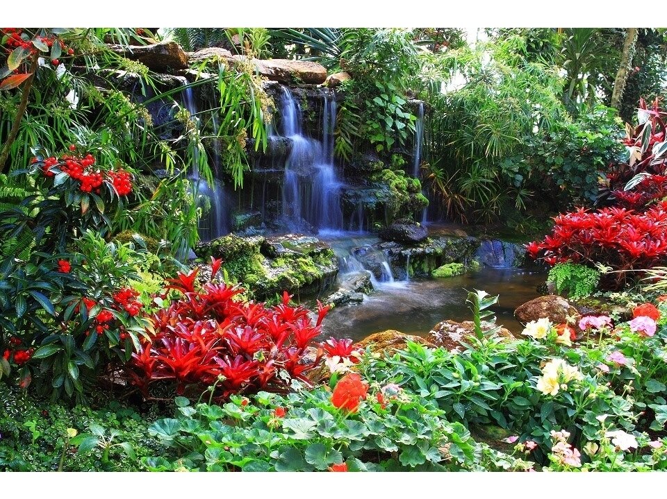 FOR WALL fototapetai 0166VE XXL