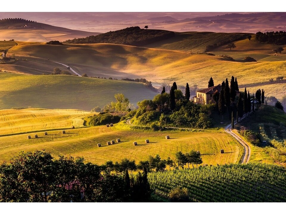 FOR WALL fototapetai 0169VE P4 FOR WALL fototapetai 0169VE P4