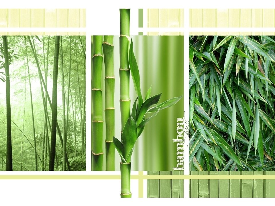 FOR WALL fototapetai 02-180VE XL FOR WALL fototapetai 02-180VE XL