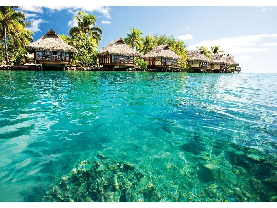 FOR WALL fototapetai 0224VE XXXL