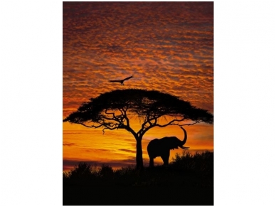 KOMAR fototapetai 4-501 African Sunset