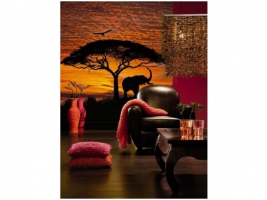 KOMAR fototapetai 4-501 African Sunset 1