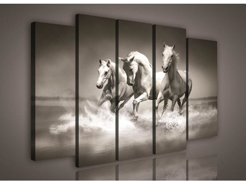 Paveikslas 1085 S12 Paveikslas 1085 S12